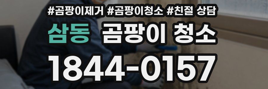 삼동 곰팡이 청소