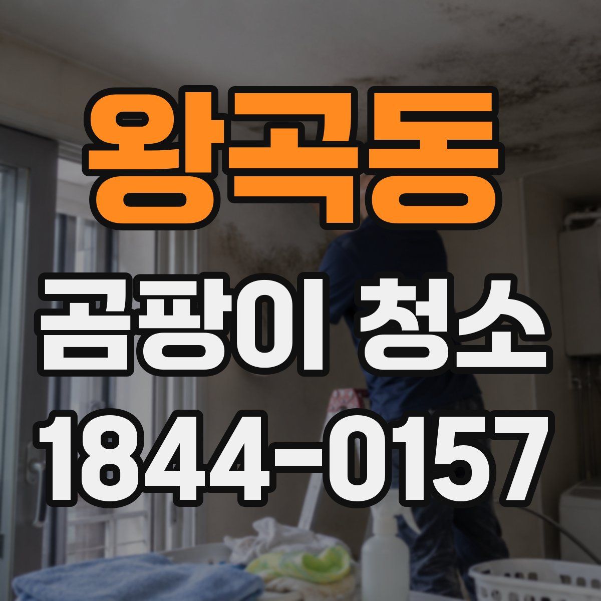 왕곡동 곰팡이 청소