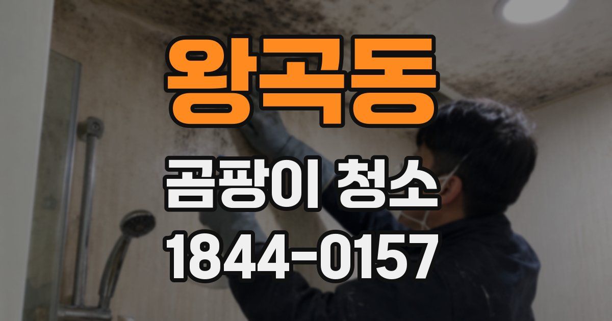 왕곡동 곰팡이 청소