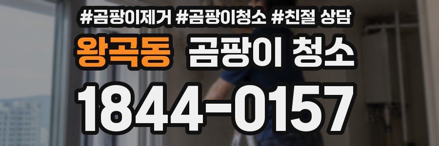 왕곡동 곰팡이 청소