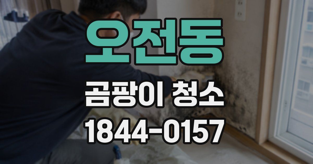 오전동 곰팡이 청소
