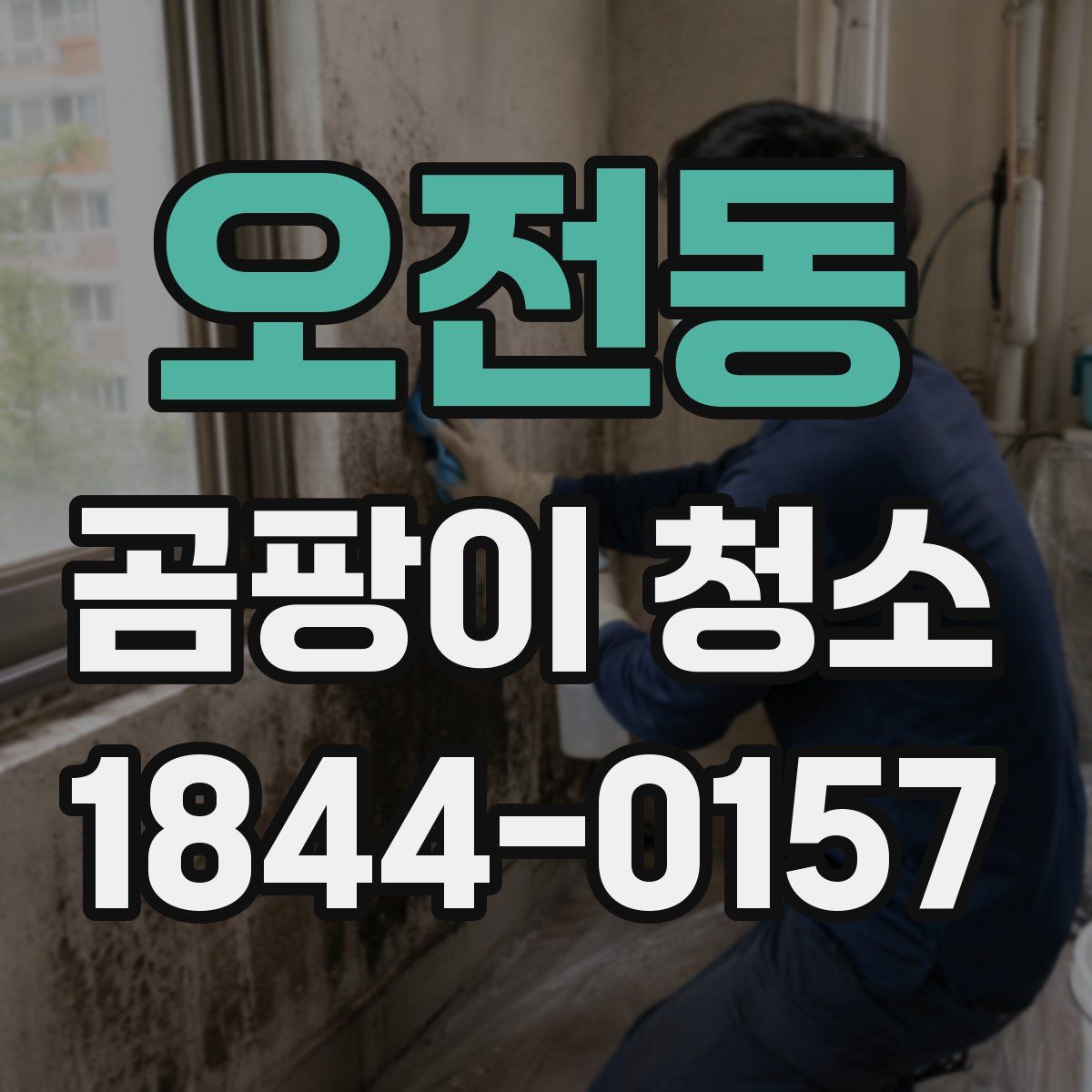 오전동 곰팡이 청소