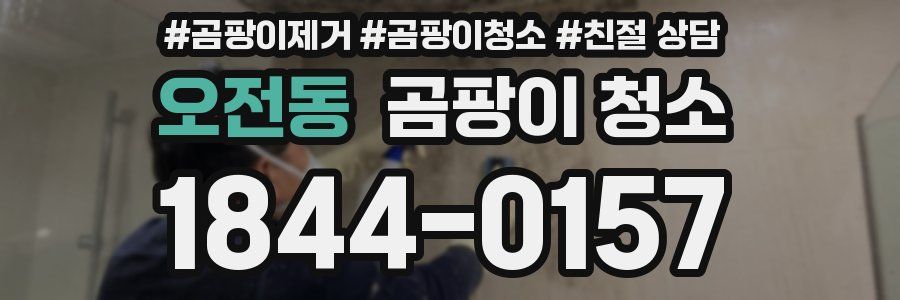 오전동 곰팡이 청소