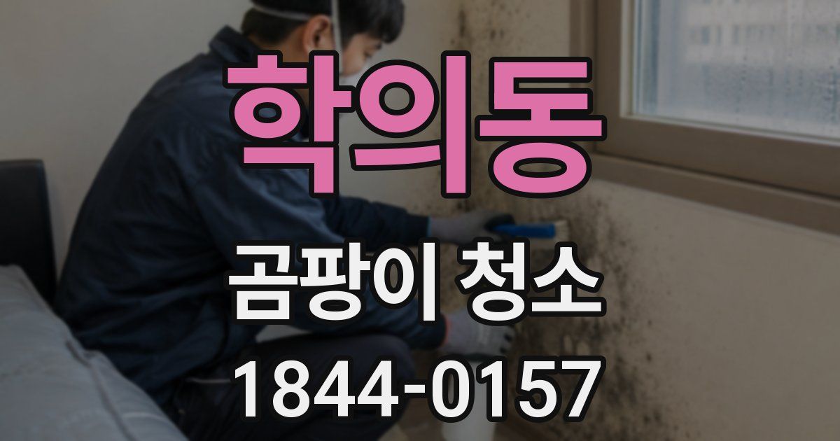 학의동 곰팡이 청소
