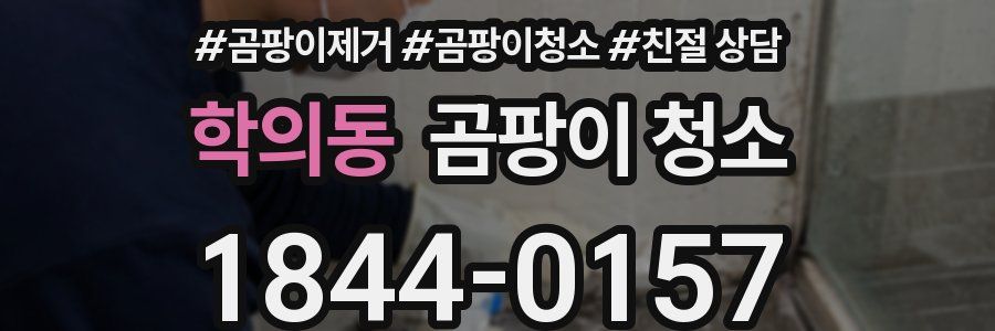 학의동 곰팡이 청소