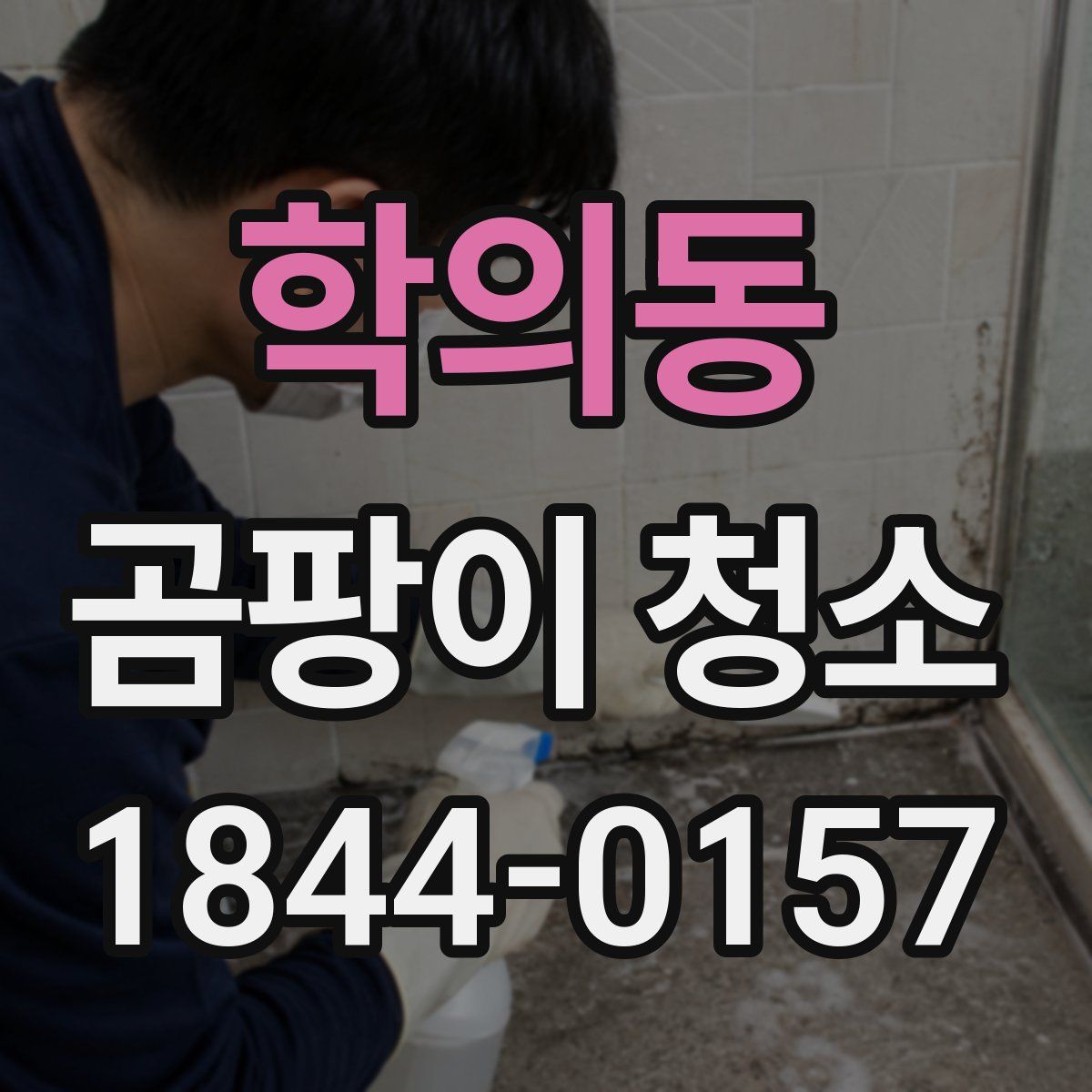 학의동 곰팡이 청소