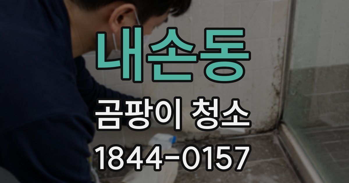 내손동 곰팡이 청소