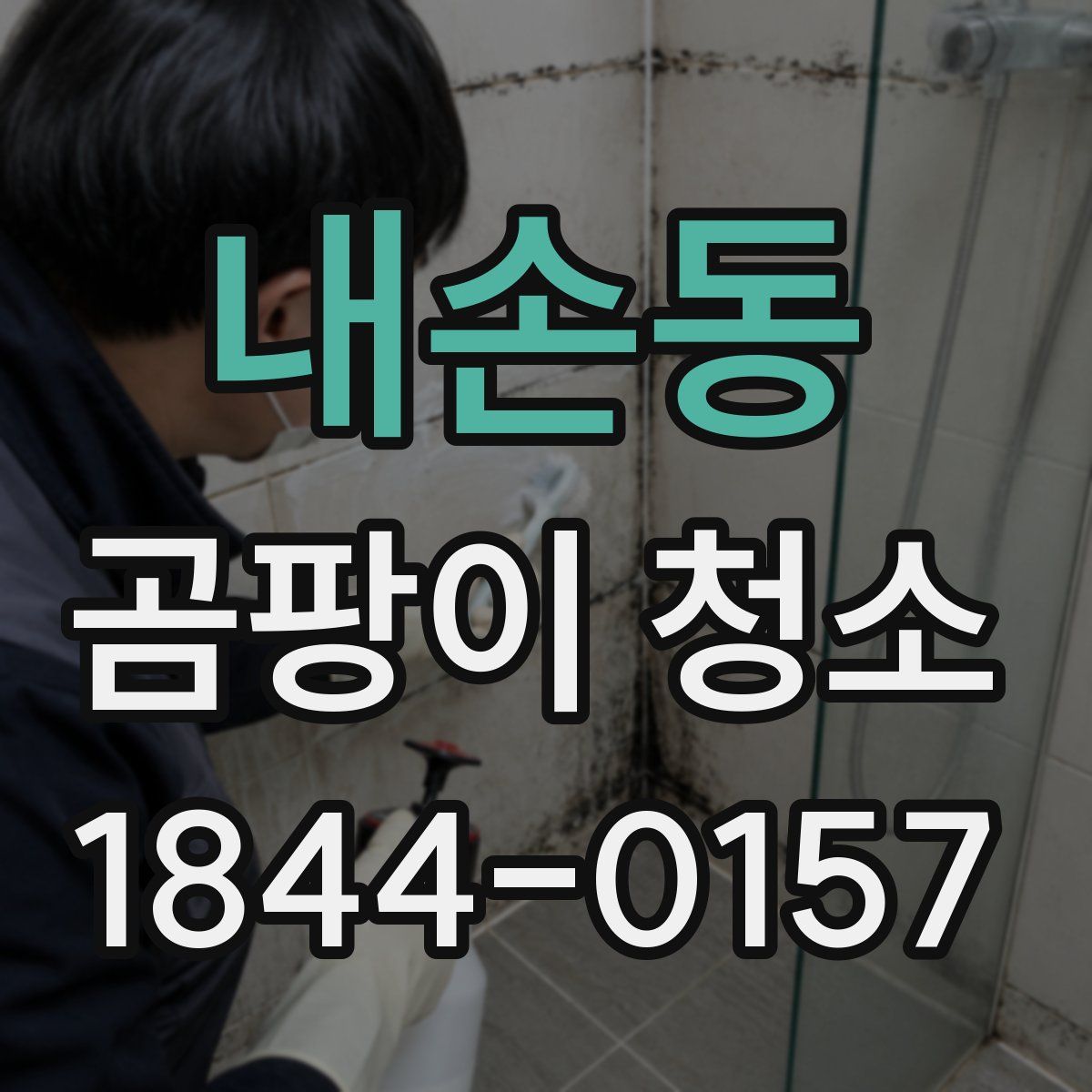 내손동 곰팡이 청소