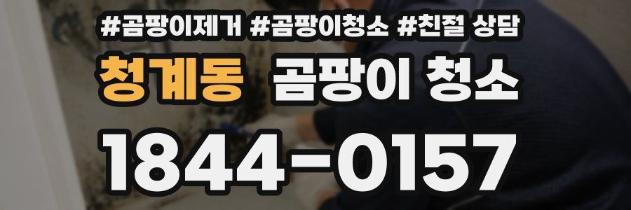 청계동 곰팡이 청소