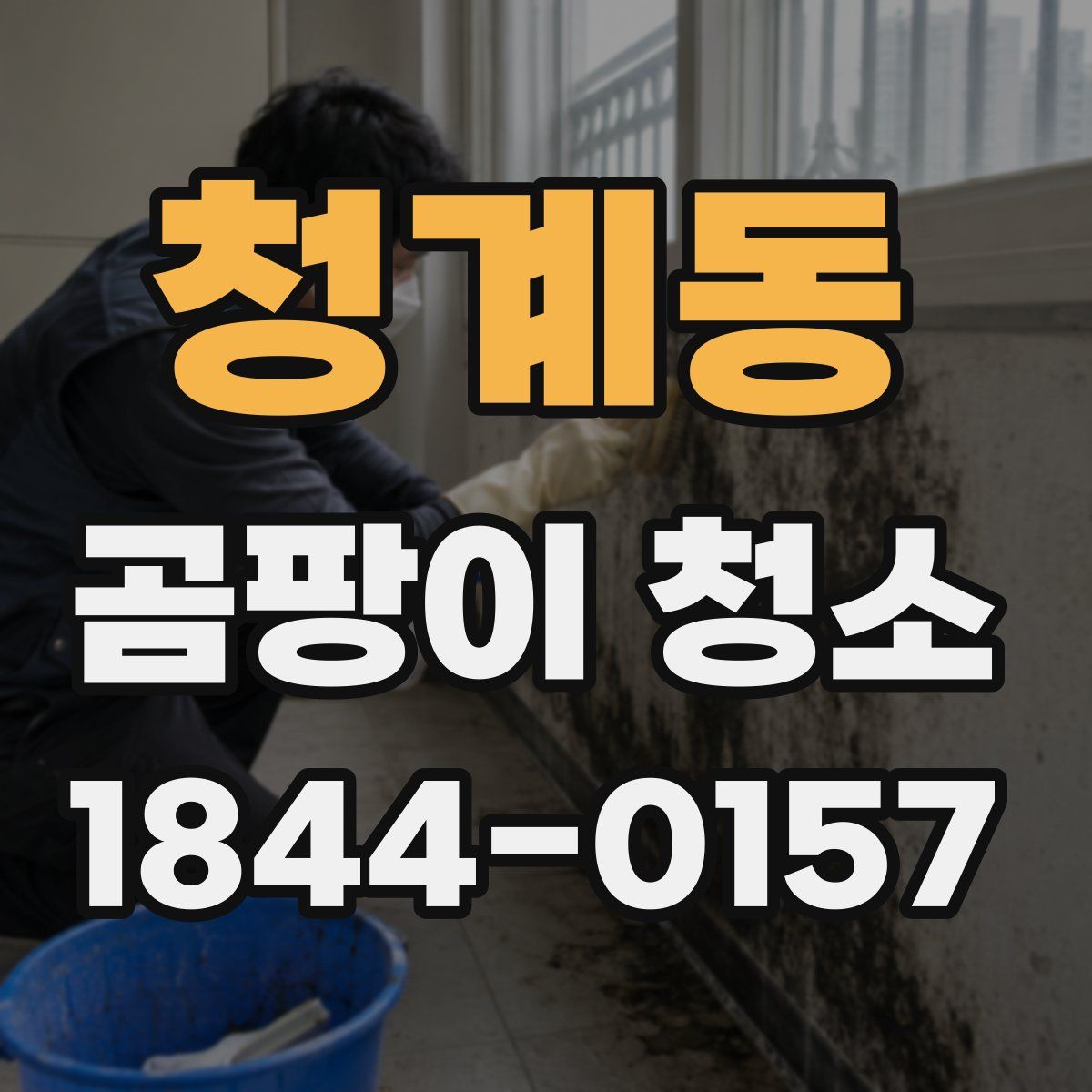 청계동 곰팡이 청소