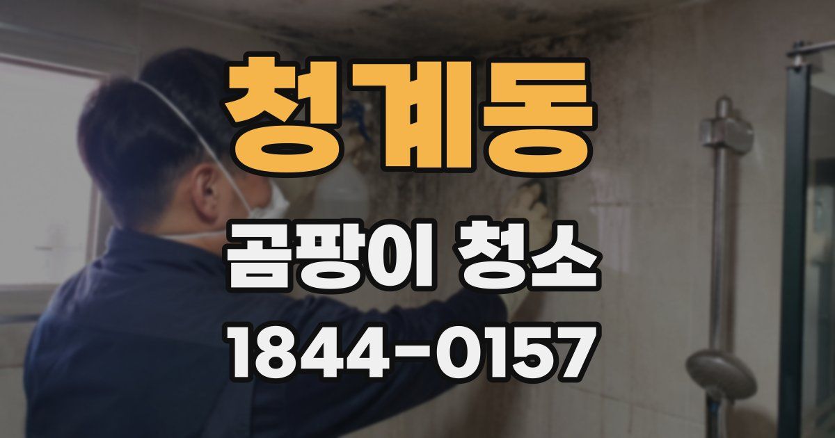 청계동 곰팡이 청소