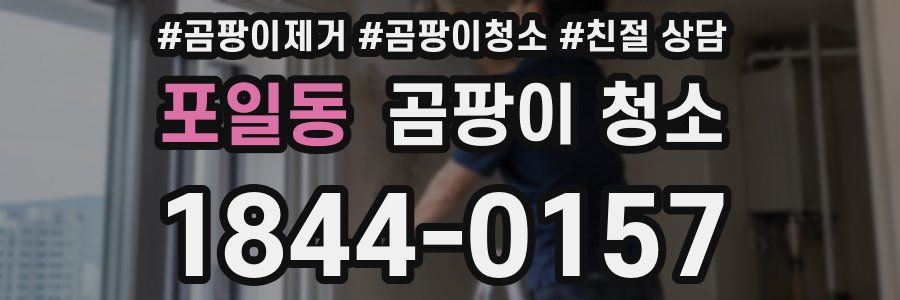 포일동 곰팡이 청소