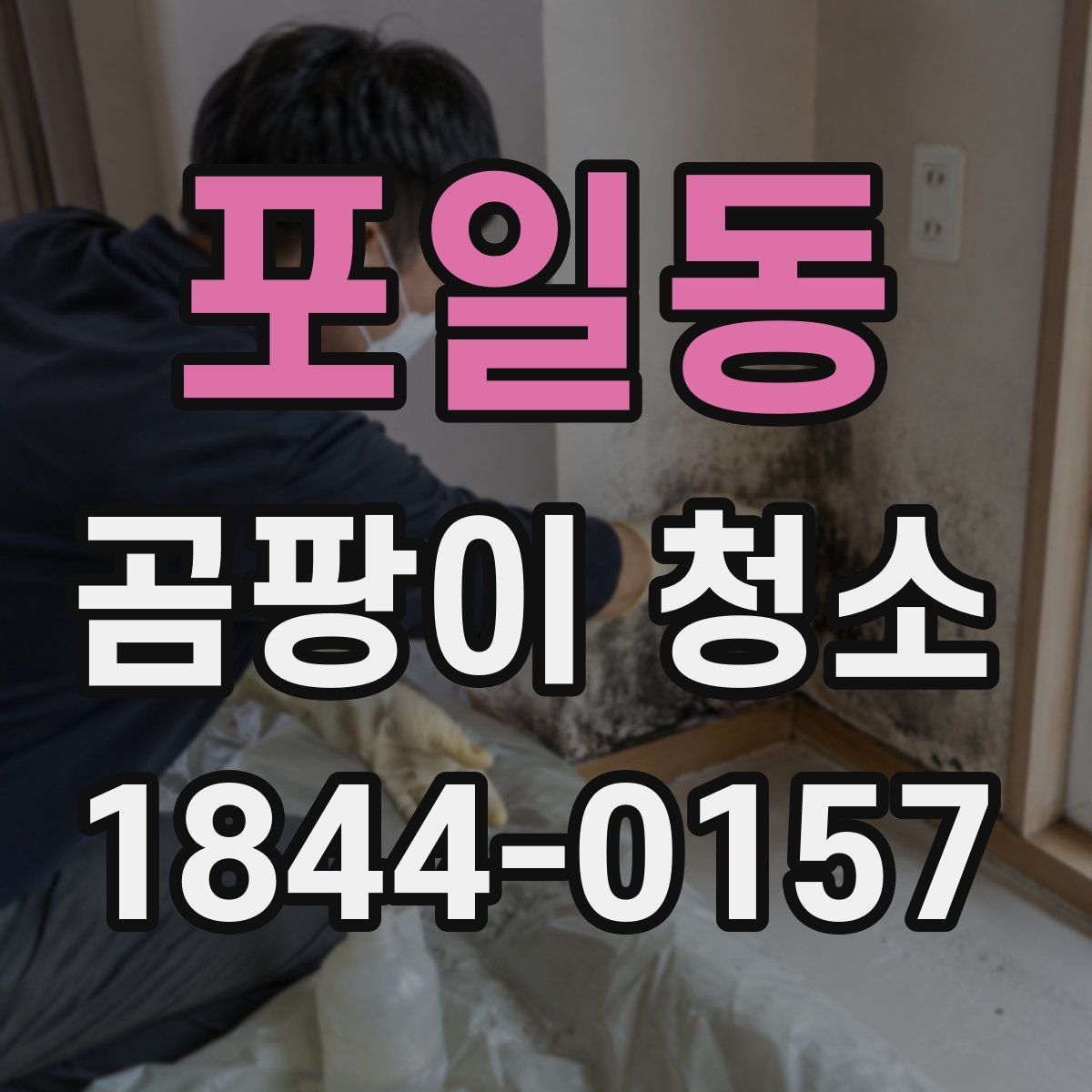 포일동 곰팡이 청소