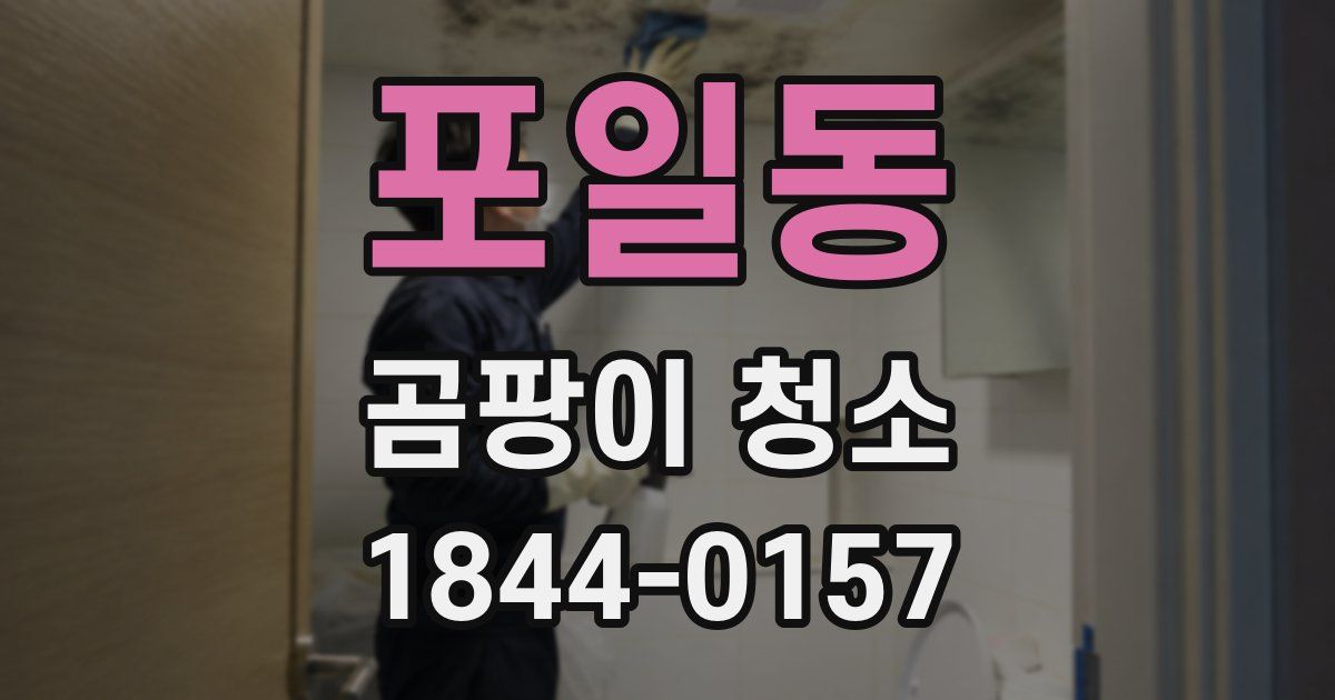 포일동 곰팡이 청소