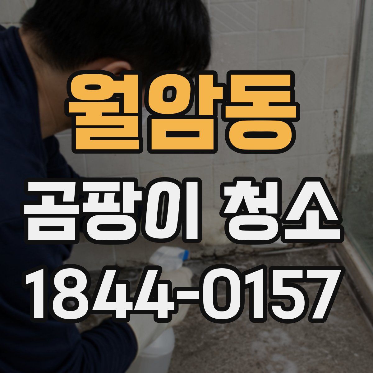 월암동 곰팡이 청소