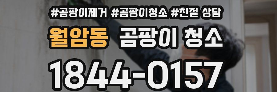월암동 곰팡이 청소
