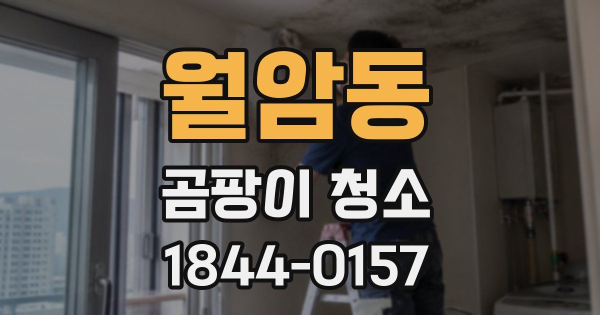 월암동 곰팡이 청소