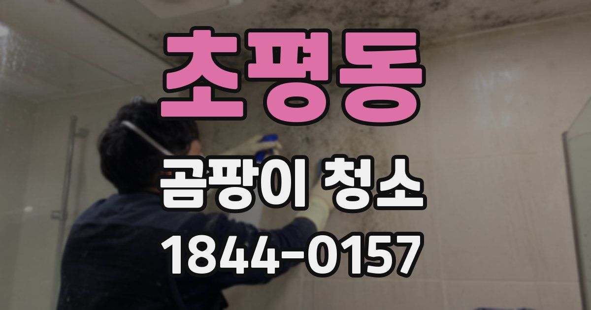 초평동 곰팡이 청소