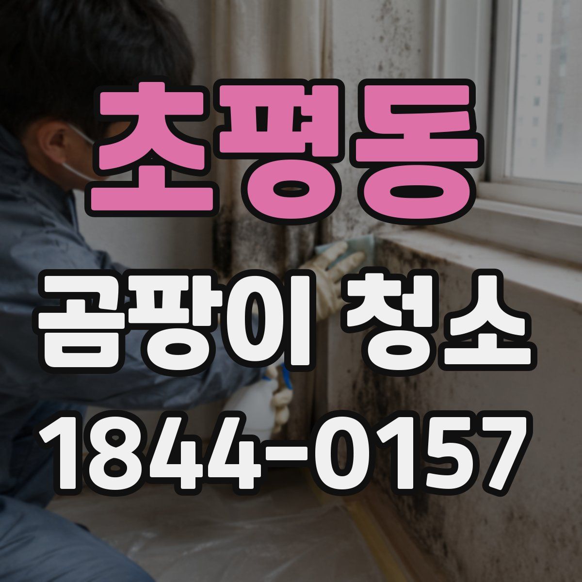 초평동 곰팡이 청소