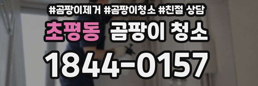초평동 곰팡이 청소