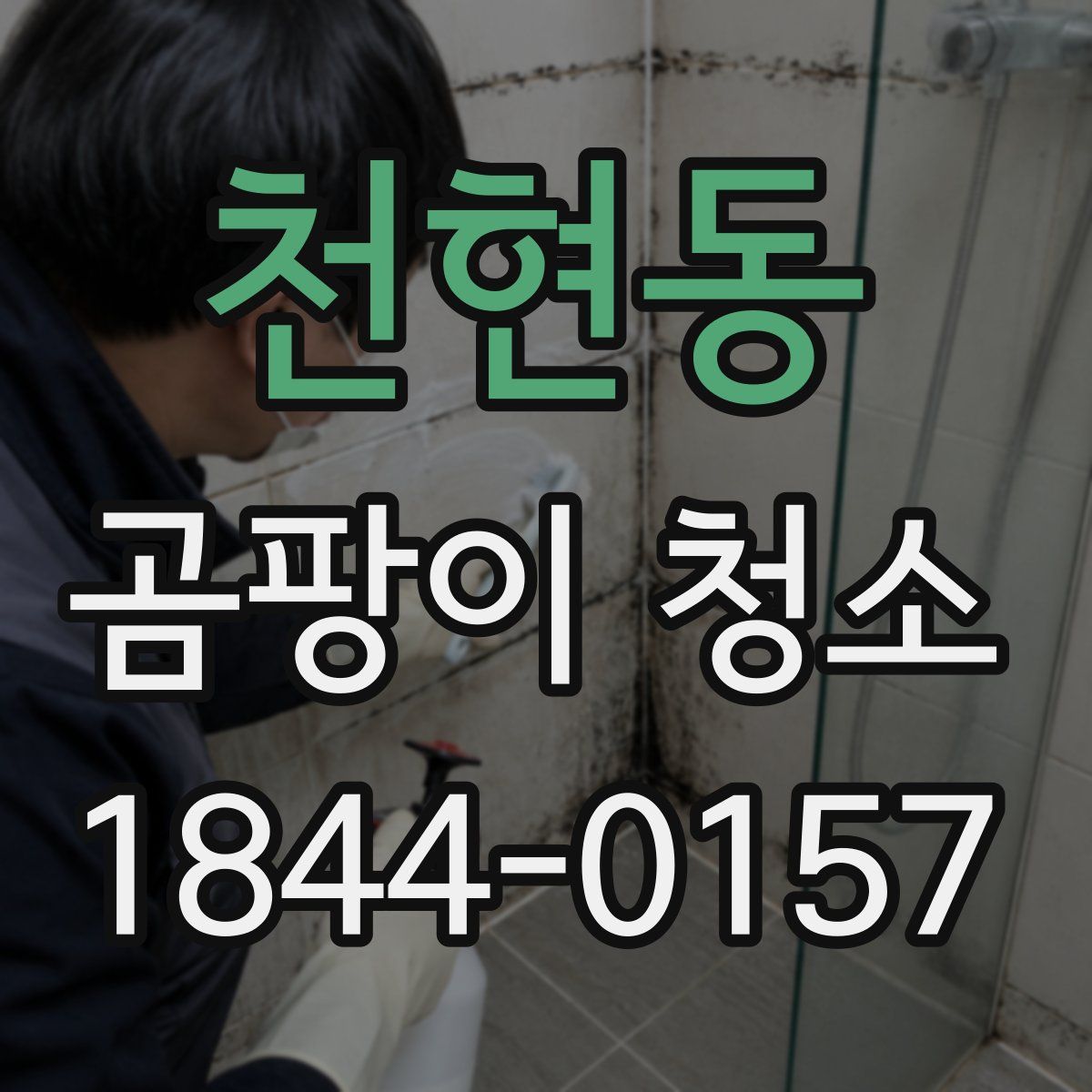 천현동 곰팡이 청소