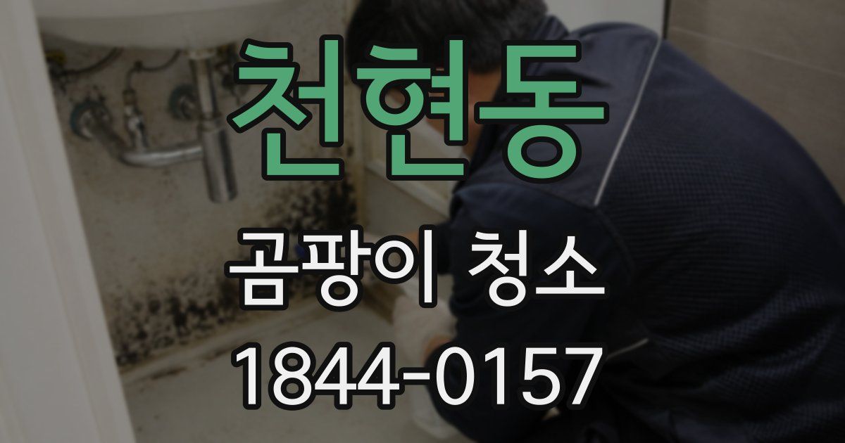 천현동 곰팡이 청소