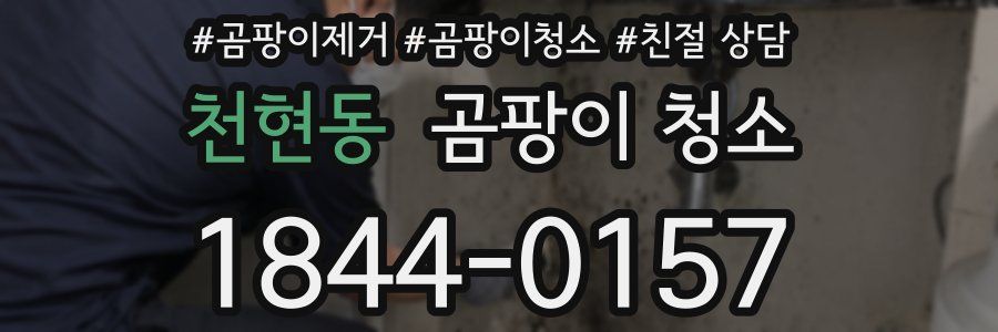 천현동 곰팡이 청소