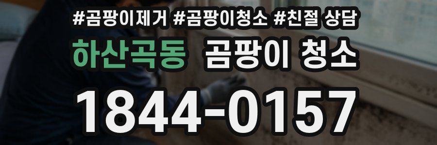 하산곡동 곰팡이 청소