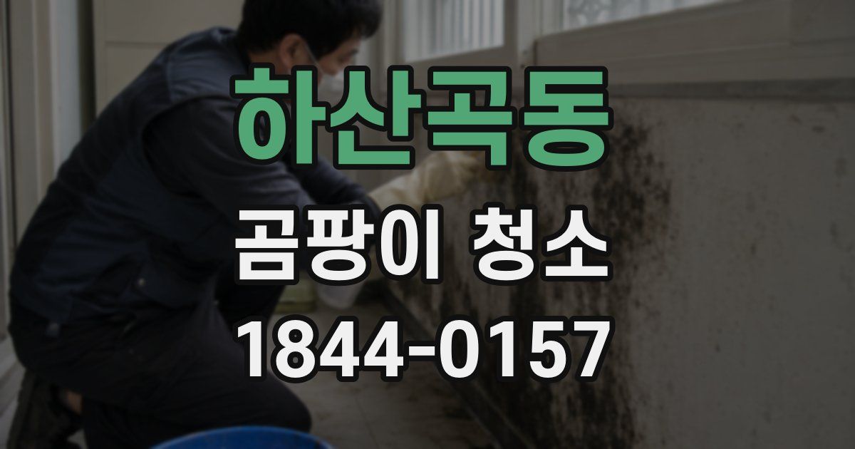 하산곡동 곰팡이 청소