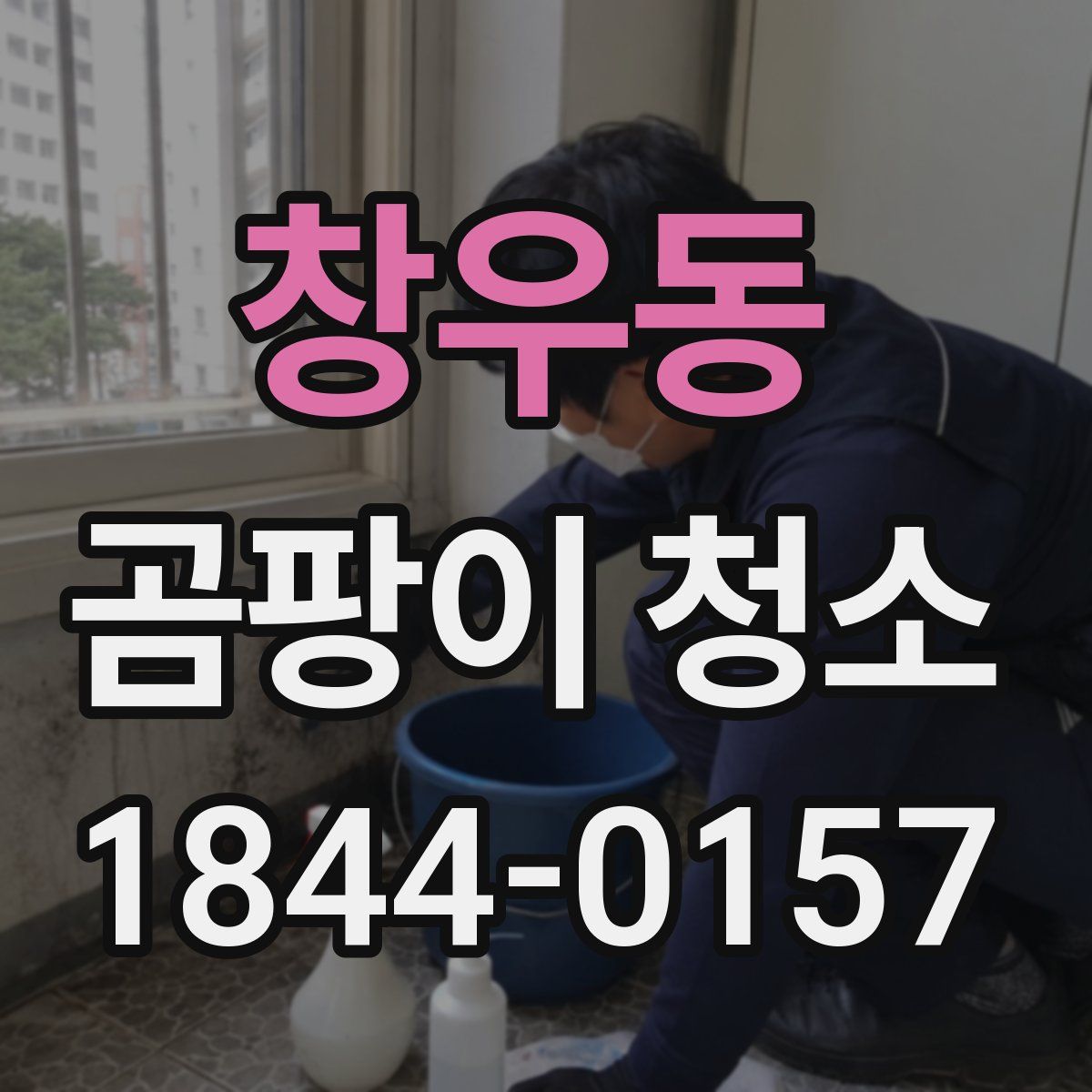창우동 곰팡이 청소