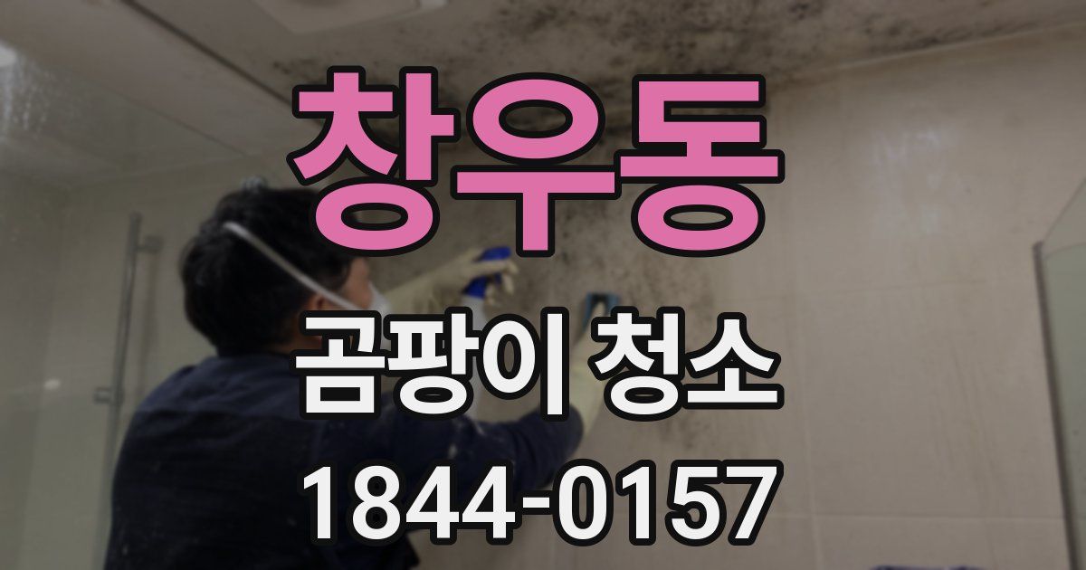 창우동 곰팡이 청소
