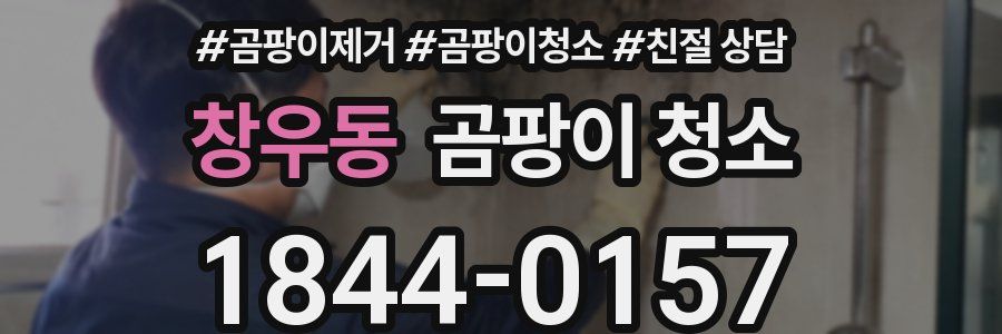 창우동 곰팡이 청소