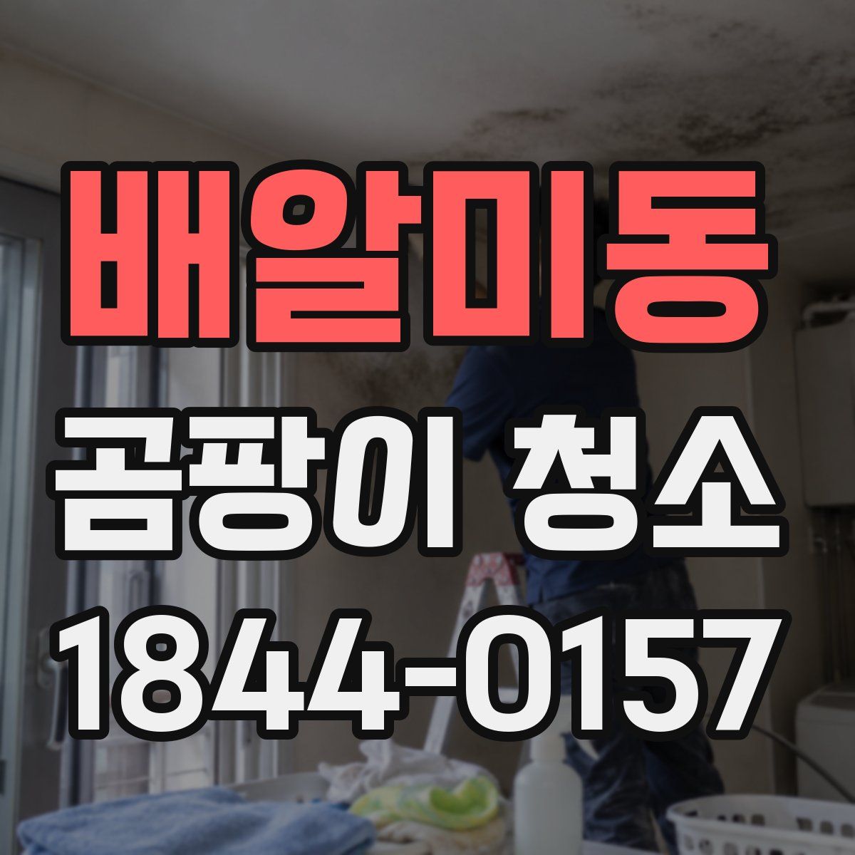 배알미동 곰팡이 청소