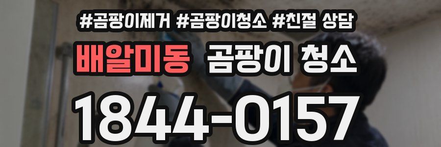 배알미동 곰팡이 청소