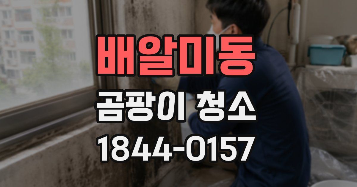 배알미동 곰팡이 청소