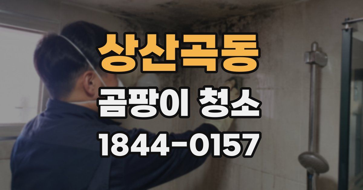 상산곡동 곰팡이 청소