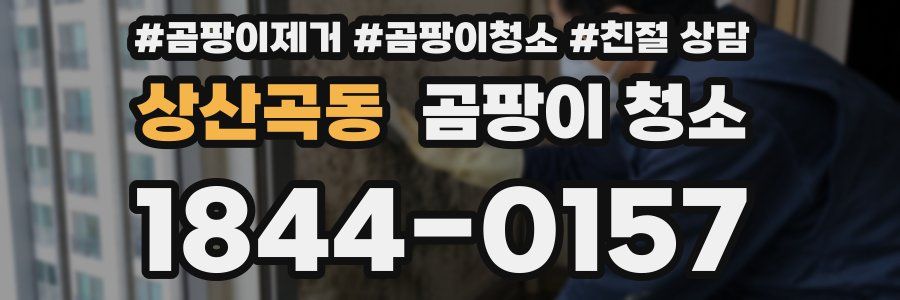 상산곡동 곰팡이 청소