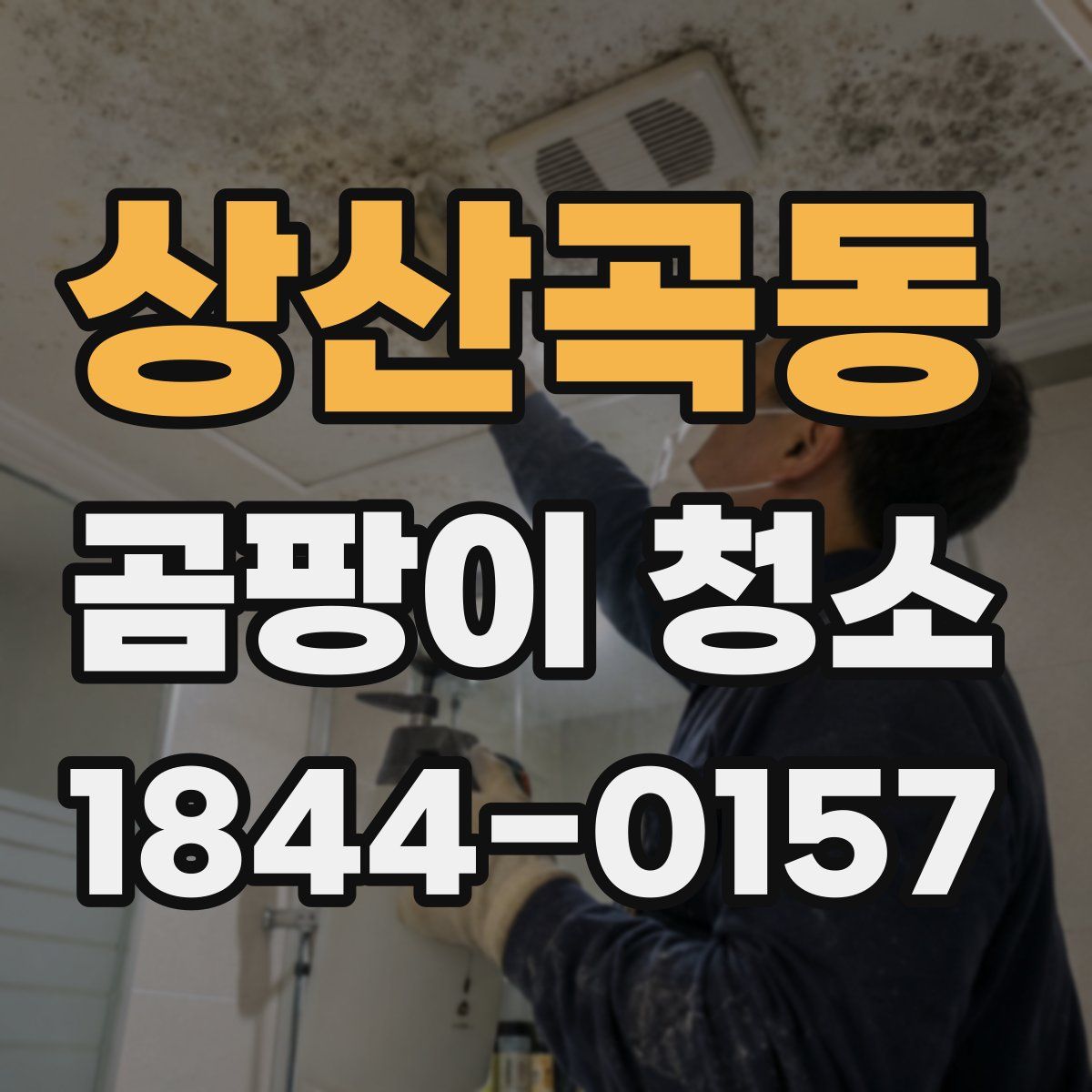 상산곡동 곰팡이 청소