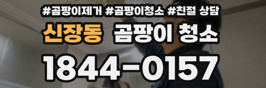 신장동 곰팡이 청소