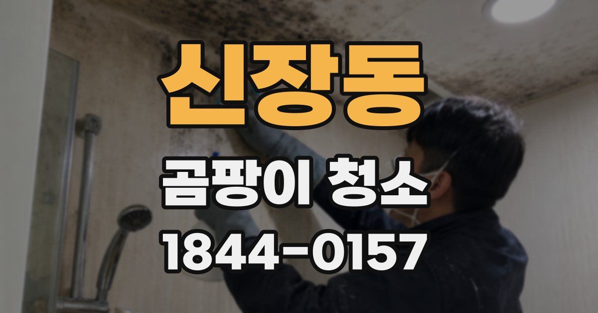 신장동 곰팡이 청소