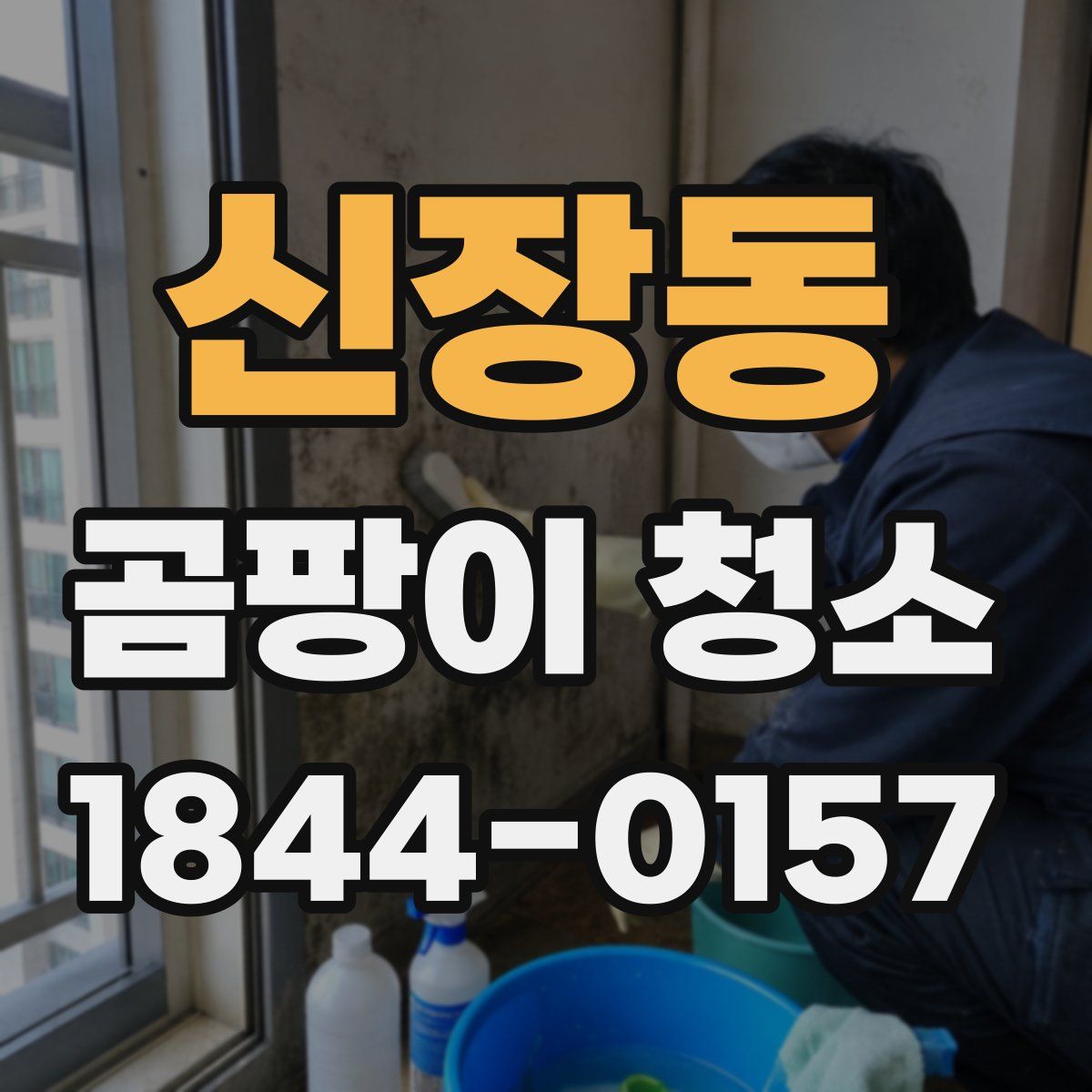 신장동 곰팡이 청소