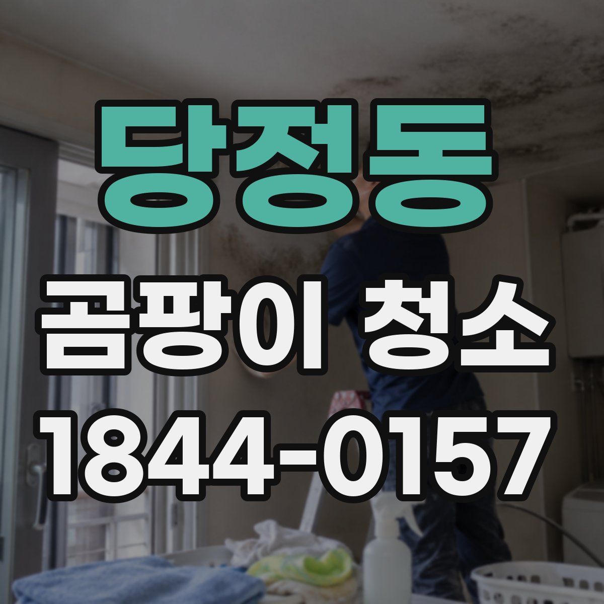 당정동 곰팡이 청소