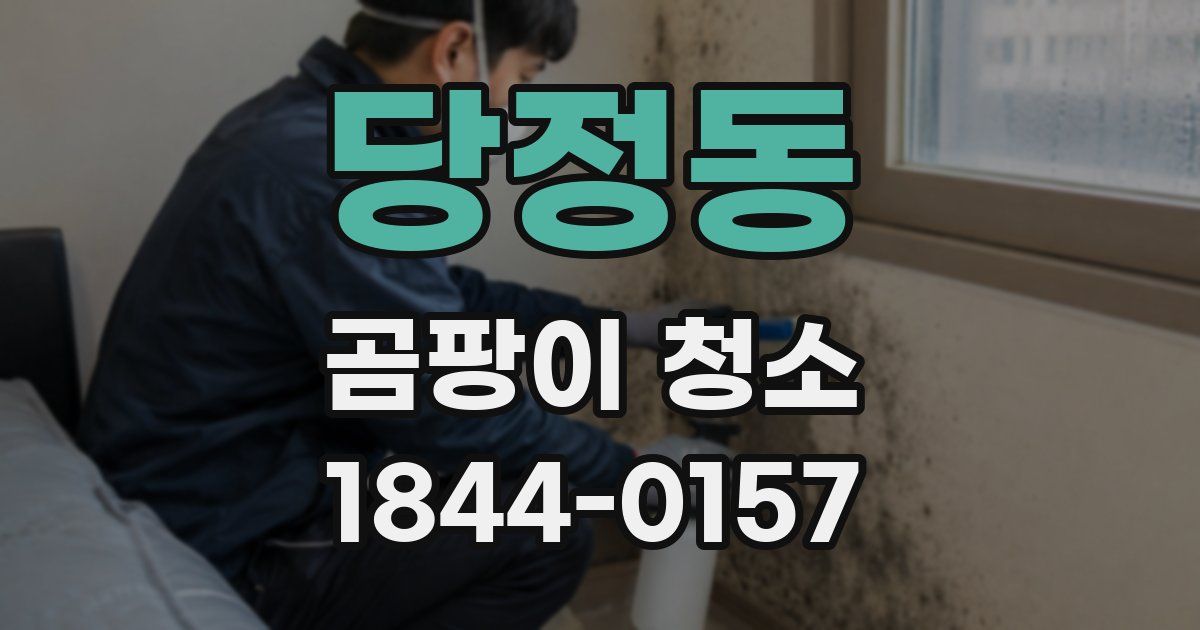 당정동 곰팡이 청소