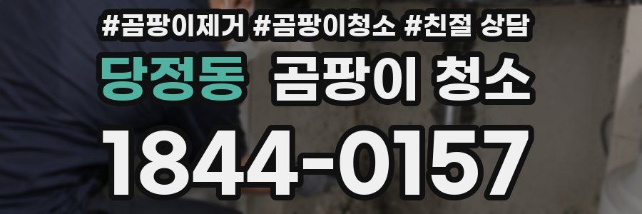 당정동 곰팡이 청소