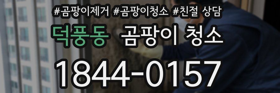 덕풍동 곰팡이 청소