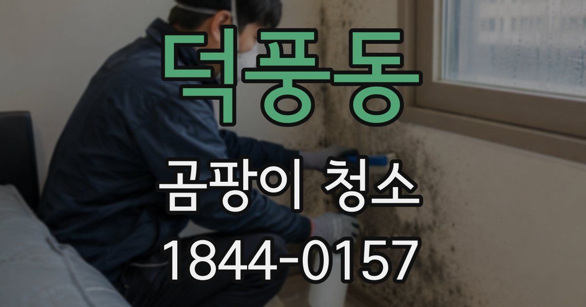 덕풍동 곰팡이 청소