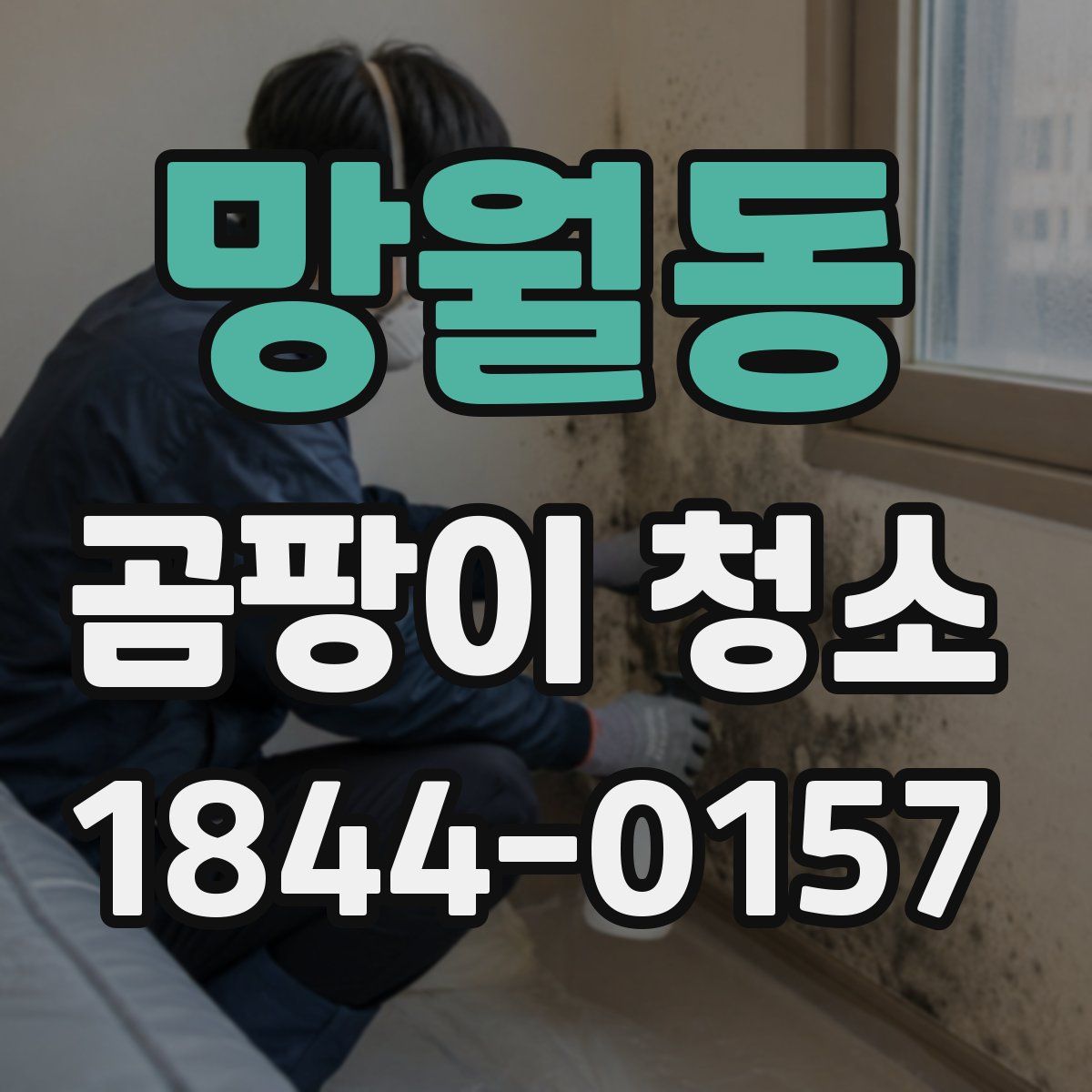 망월동 곰팡이 청소