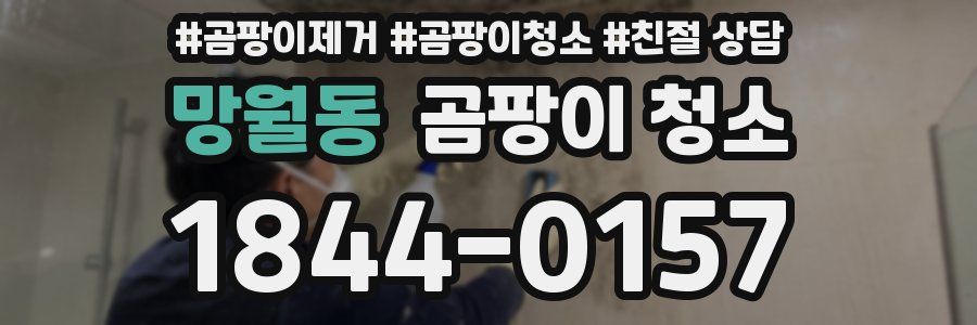 망월동 곰팡이 청소