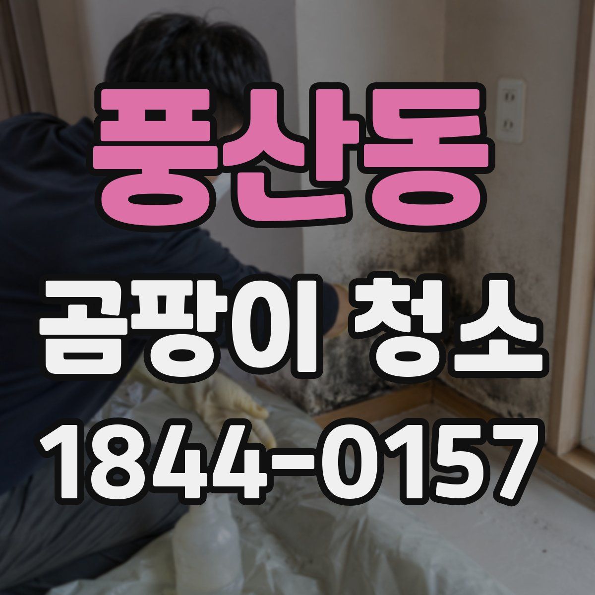 풍산동 곰팡이 청소