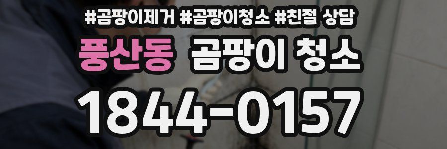 풍산동 곰팡이 청소